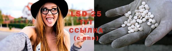стафф Алзамай