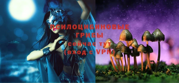 стафф Алзамай