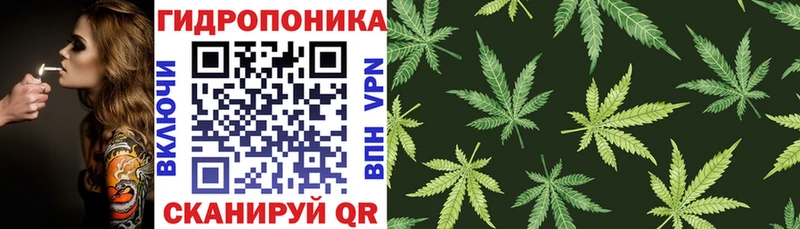 МАРИХУАНА конопля  Лодейное Поле 